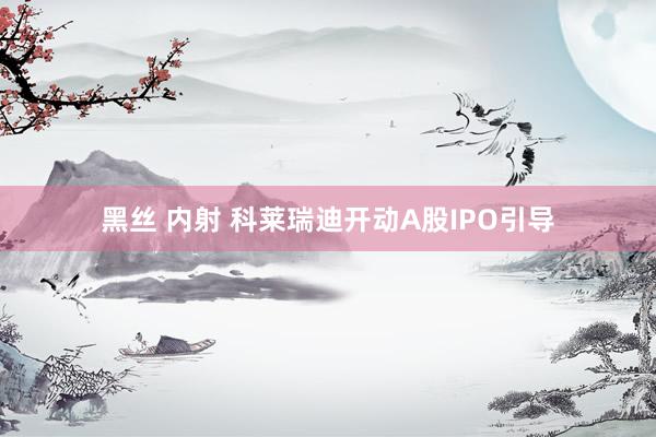 黑丝 内射 科莱瑞迪开动A股IPO引导