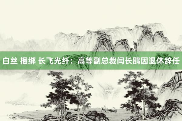 白丝 捆绑 长飞光纤：高等副总裁闫长鹍因退休辞任