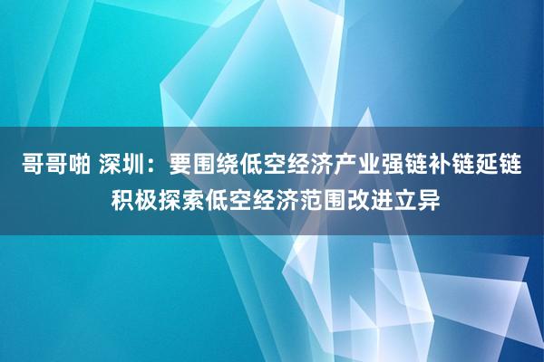 哥哥啪 深圳：要围绕低空经济产业强链补链延链 积极探索低空经济范围改进立异