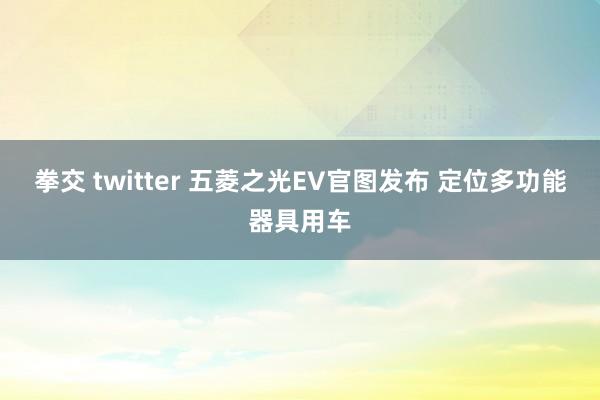 拳交 twitter 五菱之光EV官图发布 定位多功能器具用车