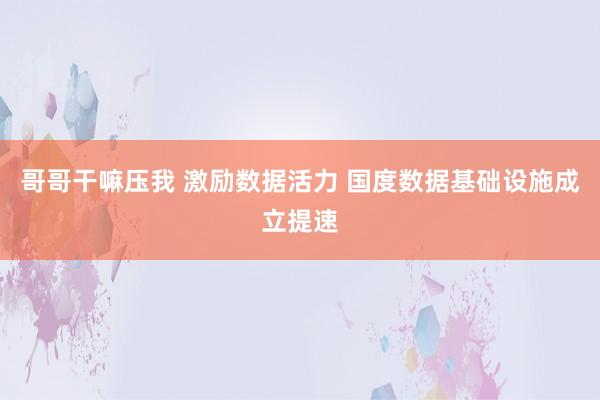 哥哥干嘛压我 激励数据活力 国度数据基础设施成立提速