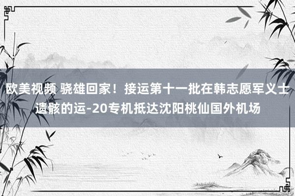 欧美视频 骁雄回家！接运第十一批在韩志愿军义士遗骸的运-20专机抵达沈阳桃仙国外机场