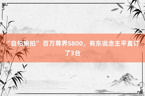 “自拍偷拍” 百万尊界S800，有东说念主平直订了3台