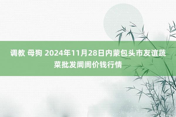 调教 母狗 2024年11月28日内蒙包头市友谊蔬菜批发阛阓价钱行情