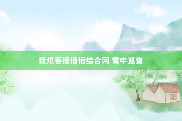我想要插插插综合网 雪中巡查