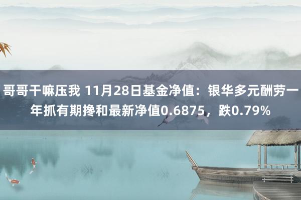 哥哥干嘛压我 11月28日基金净值：银华多元酬劳一年抓有期搀和最新净值0.6875，跌0.79%