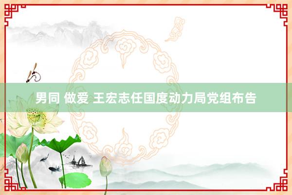 男同 做爱 王宏志任国度动力局党组布告