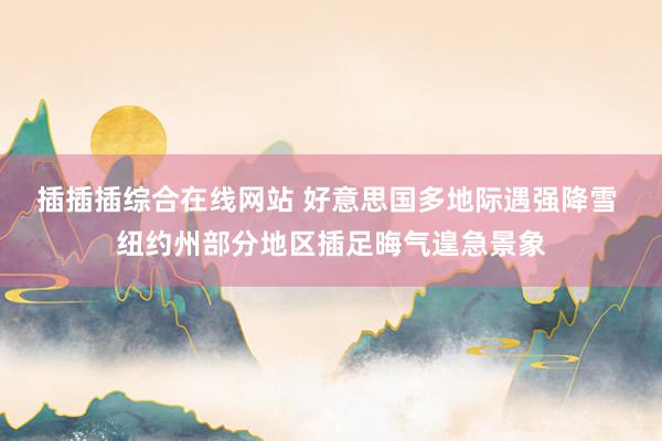 插插插综合在线网站 好意思国多地际遇强降雪 纽约州部分地区插足晦气遑急景象