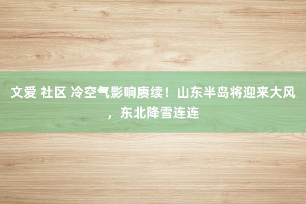 文爱 社区 冷空气影响赓续！山东半岛将迎来大风，东北降雪连连