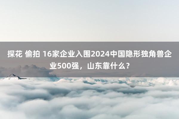 探花 偷拍 16家企业入围2024中国隐形独角兽企业500强，山东靠什么？