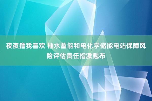 夜夜撸我喜欢 抽水蓄能和电化学储能电站保障风险评估责任指激勉布