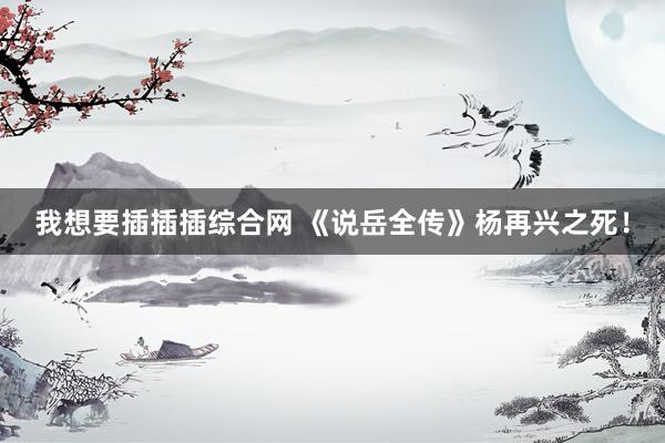 我想要插插插综合网 《说岳全传》杨再兴之死！