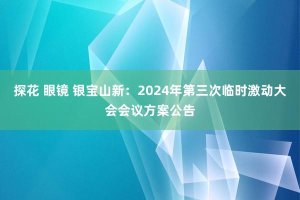 探花 眼镜 银宝山新：2024年第三次临时激动大会会议方案公告