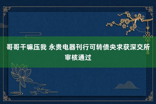 哥哥干嘛压我 永贵电器刊行可转债央求获深交所审核通过