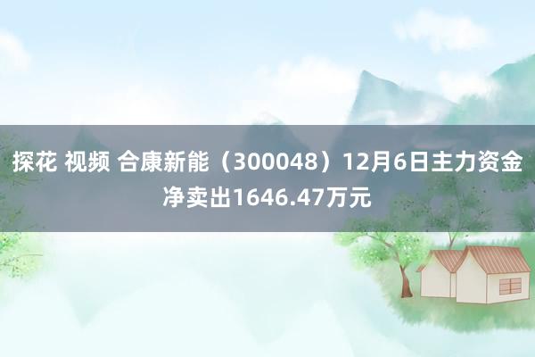 探花 视频 合康新能（300048）12月6日主力资金净卖出1646.47万元