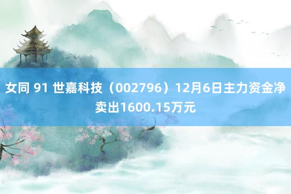 女同 91 世嘉科技（002796）12月6日主力资金净卖出1600.15万元