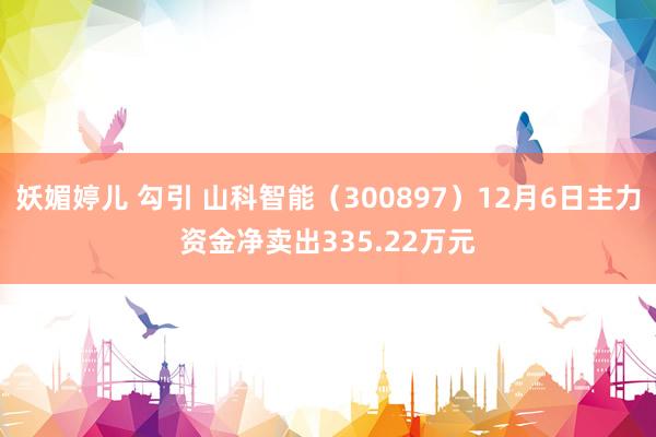 妖媚婷儿 勾引 山科智能（300897）12月6日主力资金净卖出335.22万元