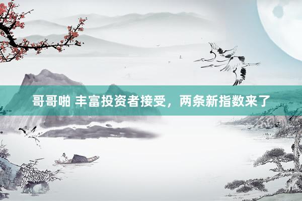 哥哥啪 丰富投资者接受，两条新指数来了