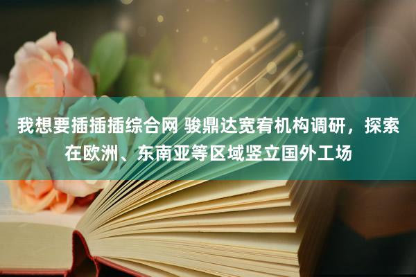 我想要插插插综合网 骏鼎达宽宥机构调研，探索在欧洲、东南亚等区域竖立国外工场