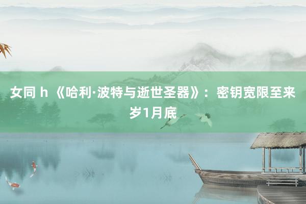 女同 h 《哈利·波特与逝世圣器》：密钥宽限至来岁1月底