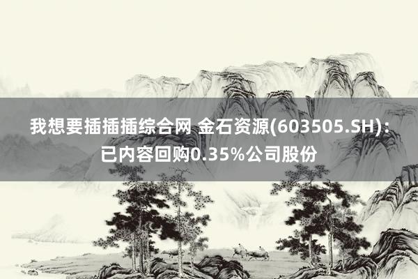 我想要插插插综合网 金石资源(603505.SH)：已内容回购0.35%公司股份
