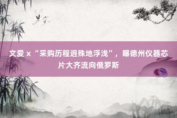 文爱 x “采购历程迥殊地浮浅”，曝德州仪器芯片大齐流向俄罗斯