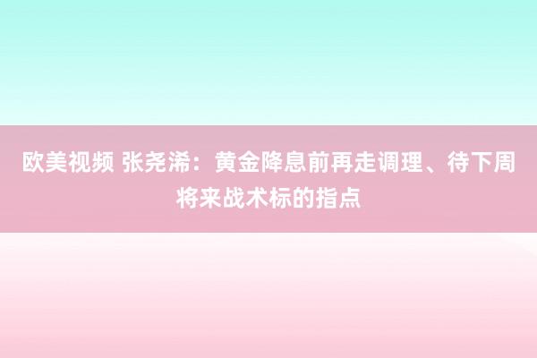 欧美视频 张尧浠：黄金降息前再走调理、待下周将来战术标的指点