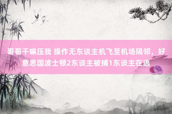 哥哥干嘛压我 操作无东谈主机飞至机场隔邻，好意思国波士顿2东谈主被捕1东谈主在逃