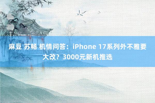 麻豆 苏畅 机情问答：iPhone 17系列外不雅要大改？3000元新机推选