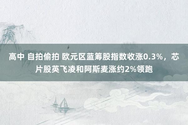 高中 自拍偷拍 欧元区蓝筹股指数收涨0.3%，芯片股英飞凌和阿斯麦涨约2%领跑