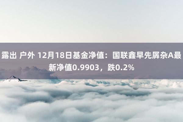 露出 户外 12月18日基金净值：国联鑫早先羼杂A最新净值0.9903，跌0.2%