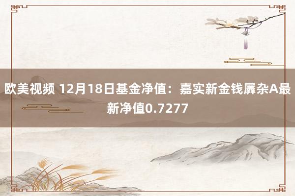 欧美视频 12月18日基金净值：嘉实新金钱羼杂A最新净值0.7277