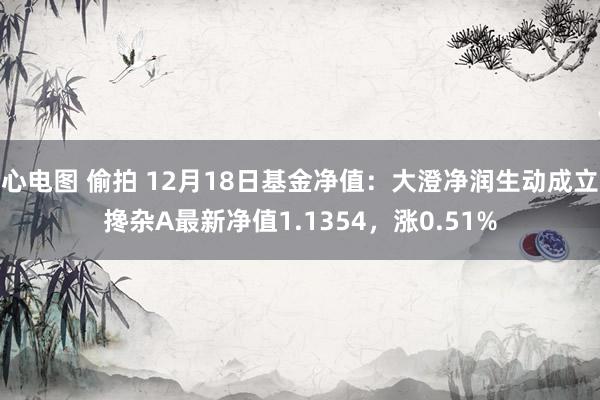 心电图 偷拍 12月18日基金净值：大澄净润生动成立搀杂A最新净值1.1354，涨0.51%