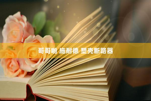 哥哥啪 施耐德 塑壳断路器