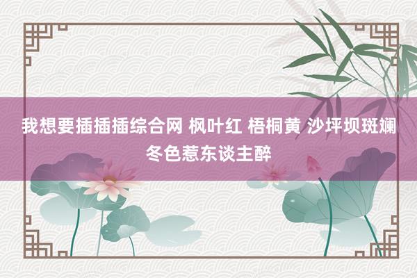 我想要插插插综合网 枫叶红 梧桐黄 沙坪坝斑斓冬色惹东谈主醉