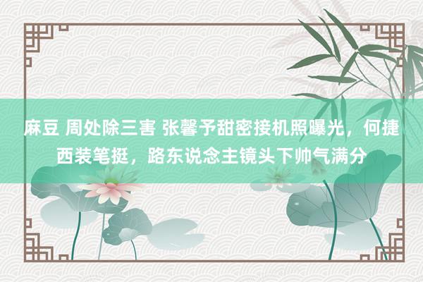 麻豆 周处除三害 张馨予甜密接机照曝光，何捷西装笔挺，路东说念主镜头下帅气满分