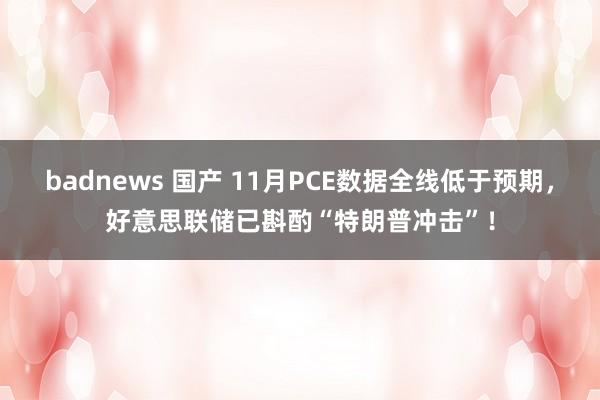 badnews 国产 11月PCE数据全线低于预期，好意思联储已斟酌“特朗普冲击”！