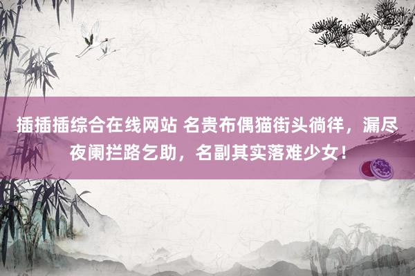 插插插综合在线网站 名贵布偶猫街头徜徉，漏尽夜阑拦路乞助，名副其实落难少女！