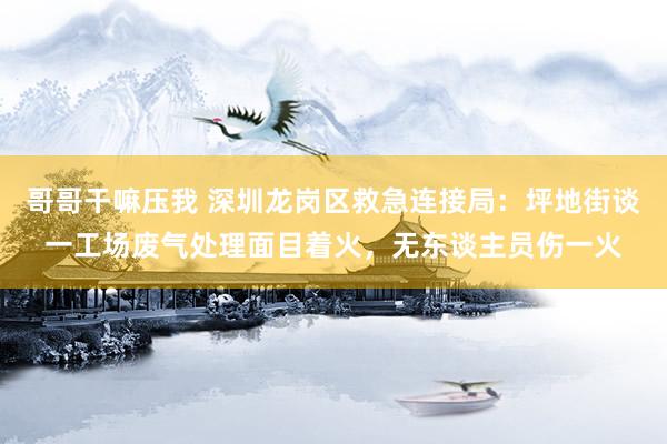 哥哥干嘛压我 深圳龙岗区救急连接局：坪地街谈一工场废气处理面目着火，无东谈主员伤一火