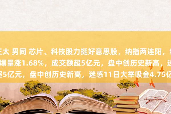 正太 男同 芯片、科技股力挺好意思股，纳指两连阳，纳指100ETF(159660)爆量涨1.68%，成交额超5亿元，盘中创历史新高，迷惑11日大举吸金4.75亿元！
