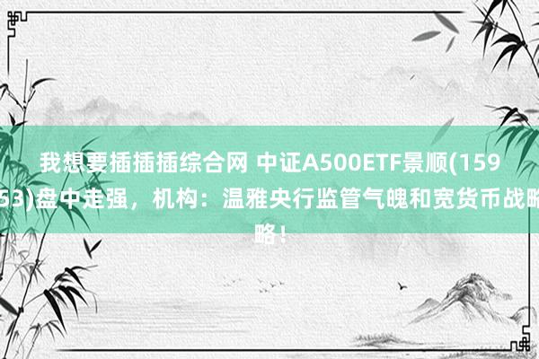 我想要插插插综合网 中证A500ETF景顺(159353)盘中走强，机构：温雅央行监管气魄和宽货币战略！