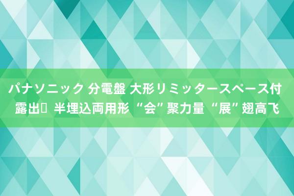 パナソニック 分電盤 大形リミッタースペース付 露出・半埋込両用形 “会”聚力量 “展”翅高飞