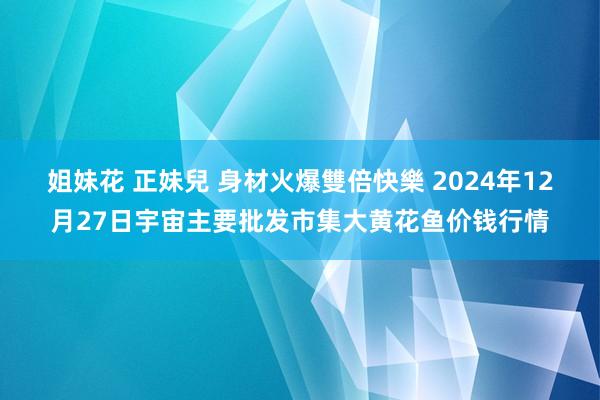 姐妹花 正妹兒 身材火爆雙倍快樂 2024年12月27日宇宙主要批发市集大黄花鱼价钱行情