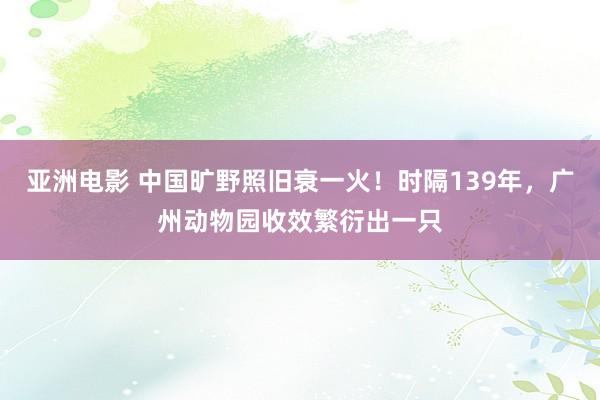 亚洲电影 中国旷野照旧衰一火！时隔139年，广州动物园收效繁衍出一只