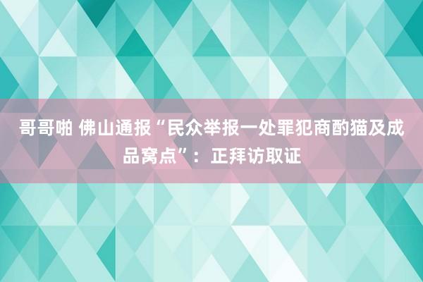 哥哥啪 佛山通报“民众举报一处罪犯商酌猫及成品窝点”：正拜访取证