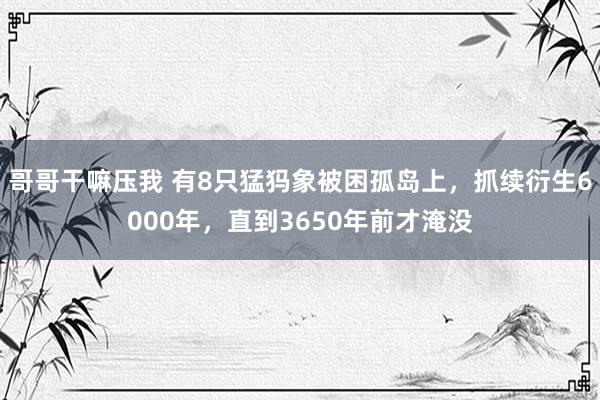 哥哥干嘛压我 有8只猛犸象被困孤岛上，抓续衍生6000年，直到3650年前才淹没