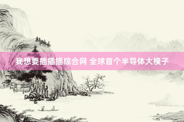 我想要插插插综合网 全球首个半导体大模子