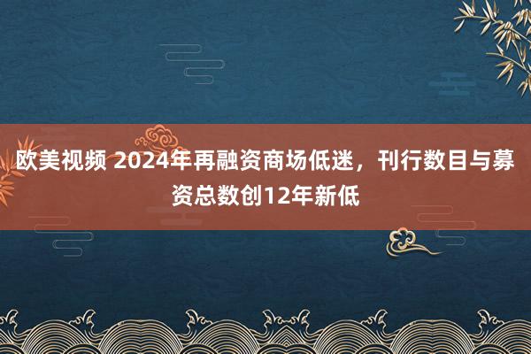 欧美视频 2024年再融资商场低迷，刊行数目与募资总数创12年新低
