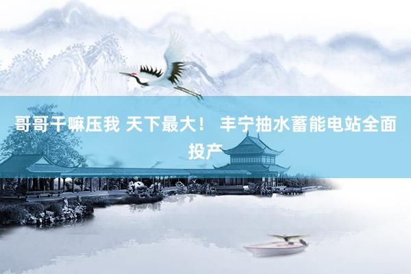 哥哥干嘛压我 天下最大！ 丰宁抽水蓄能电站全面投产