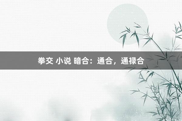 拳交 小说 暗合：通合，通禄合